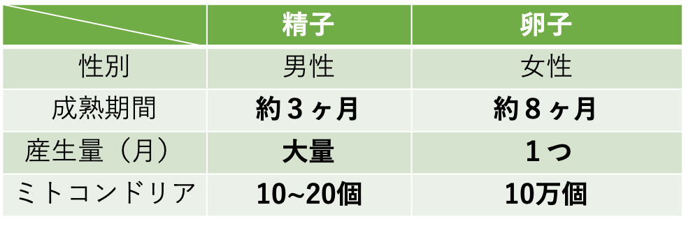 精子と卵子の違い