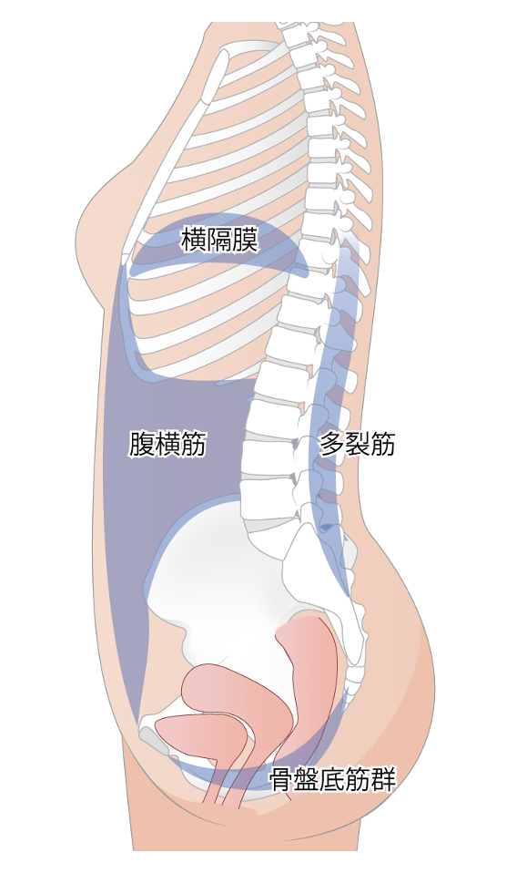 インナーユニットの画像