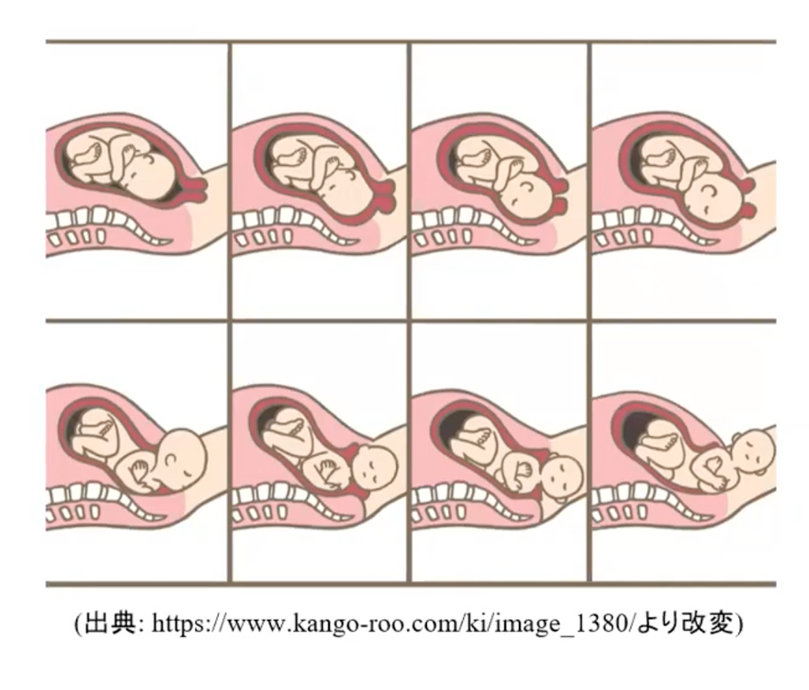 出産時の胎児の動き
