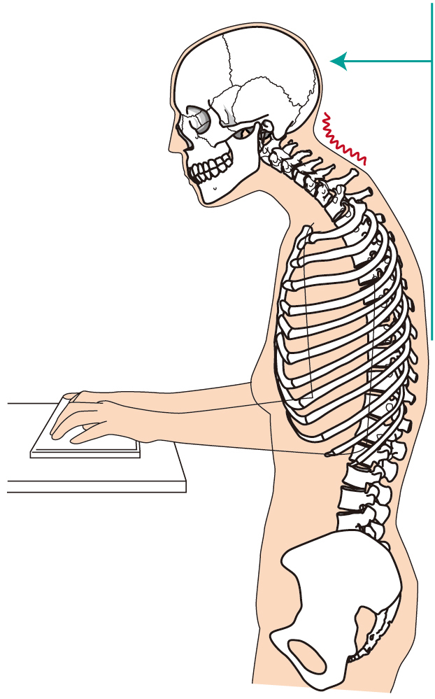 デスクワークでの頚椎の形